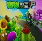 植物大战僵尸Plants vs. Zombies0.5